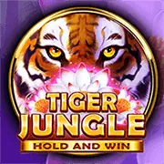 Tải xuống iOS
