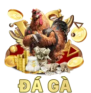 Gà Peru